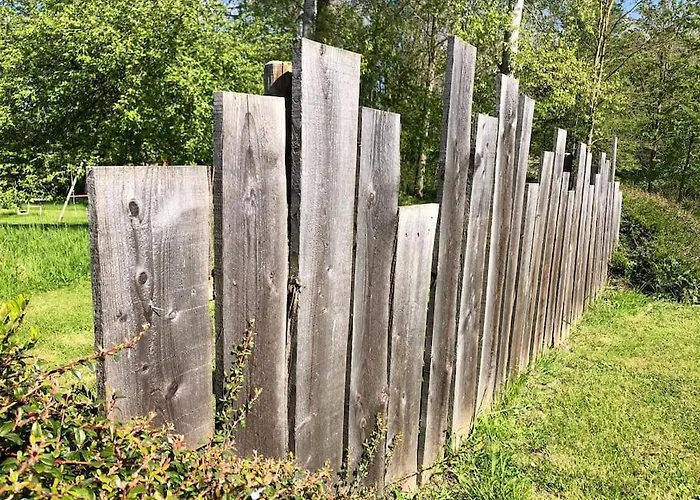 La Chouette By Out &